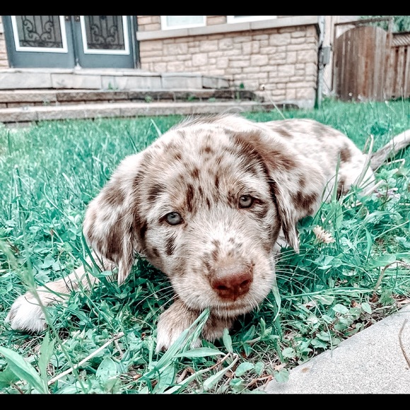 Meet your Posher, Luanne - Picture 4 of 11